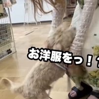「これからよろしくね！」