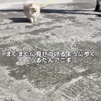 「こうやって歩くんだよ」