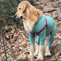 心配そうに見つめるルッツくん