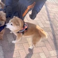 サクッとご挨拶