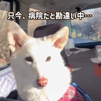 「今日は違うよ」