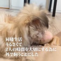 外で飼います！！