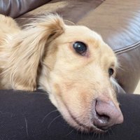 甘えている時は幸せそう♡