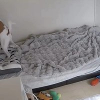 窓の外を確認…
