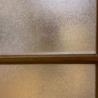 ガラスに映る、座っている犬のシルエット