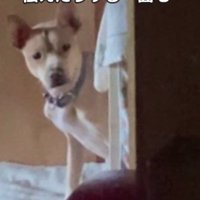 不安になることもあるけど…