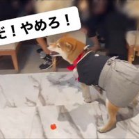 リングドッグに挑戦する大吉くん6