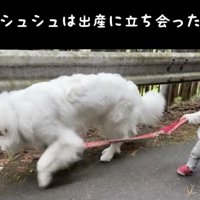 女の子に合わせてゆっくりと