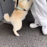 「会いたかった～」