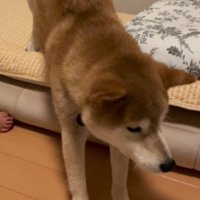 「どこで寝るかな」
