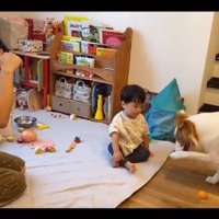 ラスカルくんを見る息子さん
