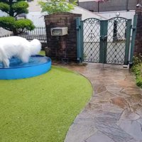 お庭で発見されたミントくん