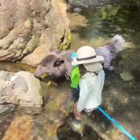 川遊びをした時の様子