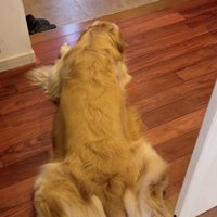 「まだかなー…」