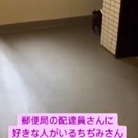 「あれ？いない…」