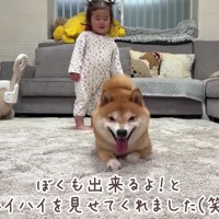 「ハイハイなら僕もできるよ！」