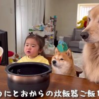 わんこのご飯を調理！