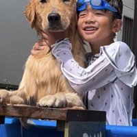 プールで犬に抱きつく人