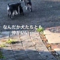 初対面とは思えない