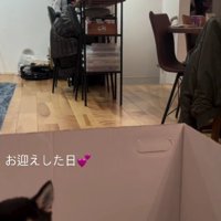 2階に駆け上がってしまった！