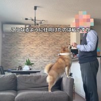 「この時間を待っていた♡」