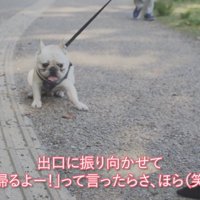 出口に向かおうとした途端に拒否