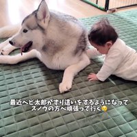 ズリバイ練習中の赤ちゃん