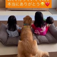 並んでテレビを見る4兄妹