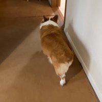 一目散にお姉ちゃんのもとへ