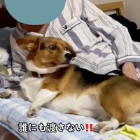 おじいちゃんの横を陣取るさらんちゃん