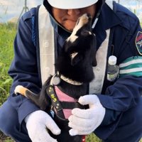 おじさんに顔を近づける音色ちゃん