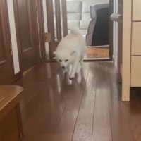 ゆっくりと駆け寄って…