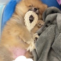 怠惰なだけだった！！