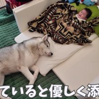 赤ちゃんが泣くとすぐに添い寝