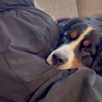 もうお姉ちゃんの表情