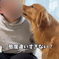 態度が違うアルトくん