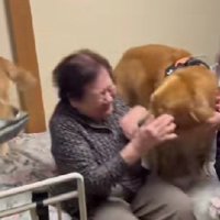 スリッパを持ってきたライトちゃん