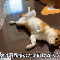 風がお腹に当たるように体勢を調整