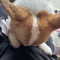 仕草