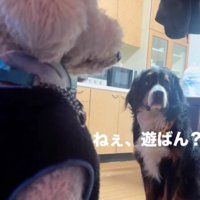 今では大親友♡今では大親友♡