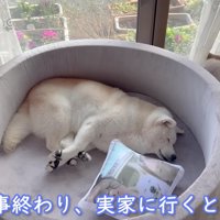 16歳のあいちゃん