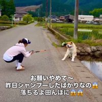 「絶対にダメ！！」