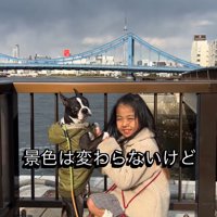 しゃがんで犬の前足を手に取る女の子