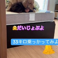 「大丈夫だから～」