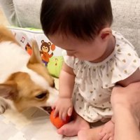 ボールを取り合う2人