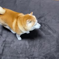 ゆっくりと腰を下ろし…