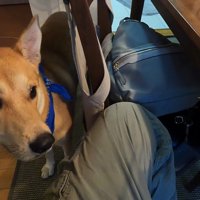 再びお父さんに甘えにきました