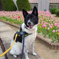 愛されていることが伝わる…