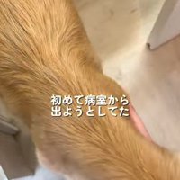 初めて自ら外へ