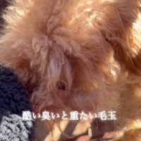 汚れてボロボロな体に…